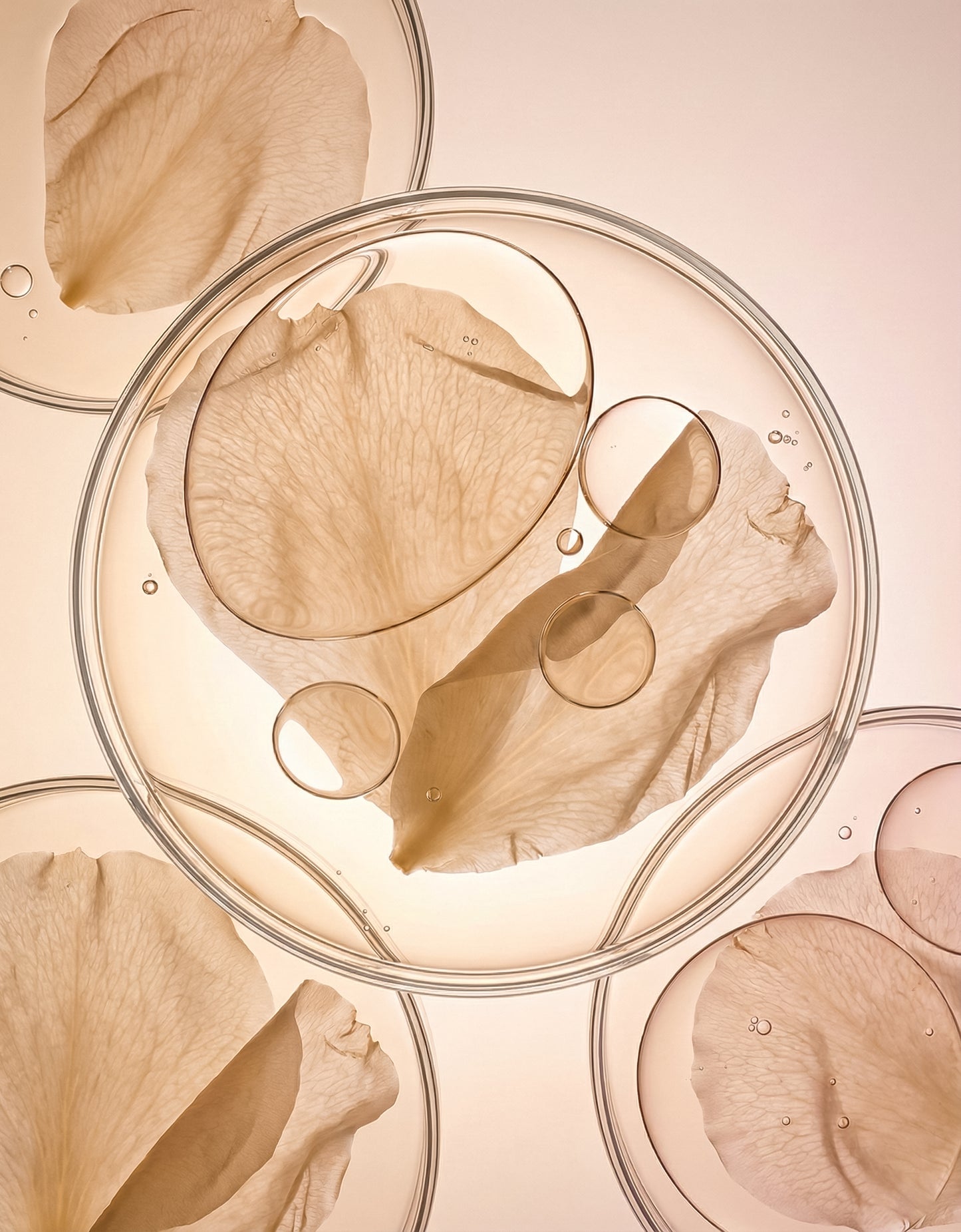 Himalayan Rose Water Toner Essence